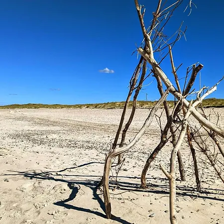 20 Person In בית נופש *